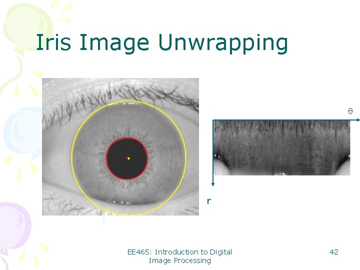 Iris Image Unwrapping r EE 465: Introduction to Digital Image Processing 42 