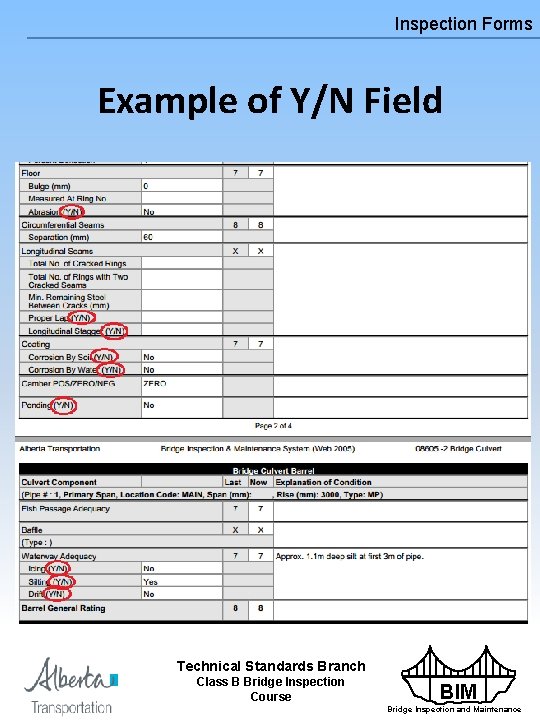 Inspection Forms Example of Y/N Field Technical Standards Branch Class B Bridge Inspection Course