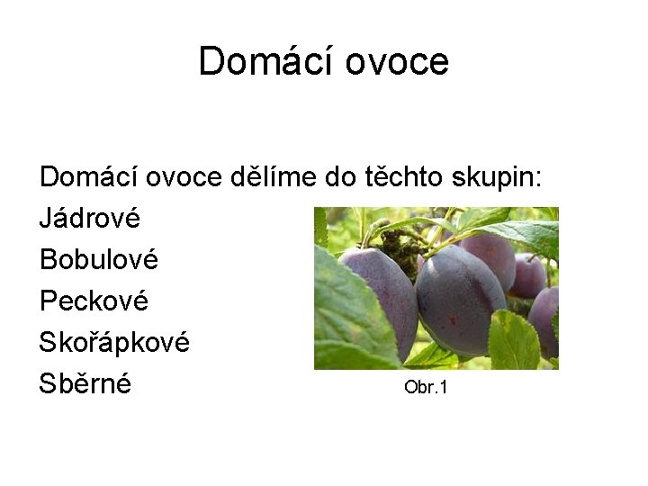 Domácí ovoce dělíme do těchto skupin: Jádrové Bobulové Peckové Skořápkové Sběrné Obr. 1 