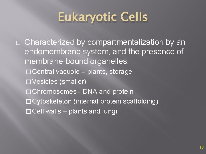 Eukaryotic Cells � Characterized by compartmentalization by an endomembrane system, and the presence of
