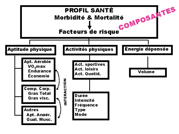 PROFIL SANTÉ Morbidité & Mortalité Facteurs de risque Apt. Aérobie VO 2 max Endurance