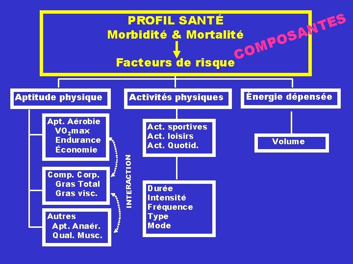 PROFIL SANTÉ Morbidité & Mortalité Facteurs de risque Aptitude physique Activités physiques Apt. Aérobie