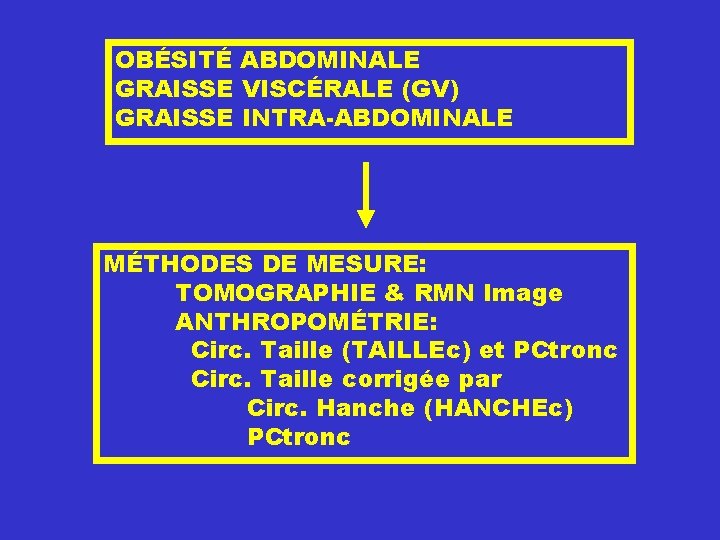 OBÉSITÉ ABDOMINALE GRAISSE VISCÉRALE (GV) GRAISSE INTRA-ABDOMINALE MÉTHODES DE MESURE: TOMOGRAPHIE & RMN Image