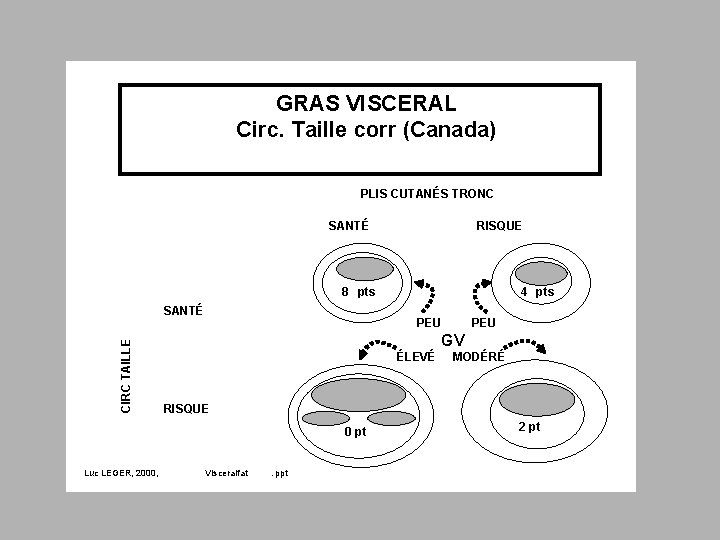 GRAS VISCERAL Circ. Taille corr (Canada) PLIS CUTANÉS TRONC SANTÉ RISQUE 8 pts CIRC