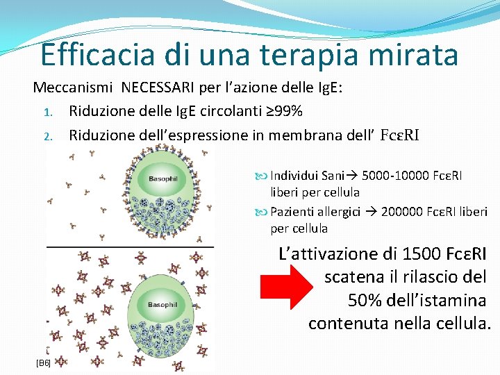 Efficacia di una terapia mirata Meccanismi NECESSARI per l’azione delle Ig. E: 1. Riduzione