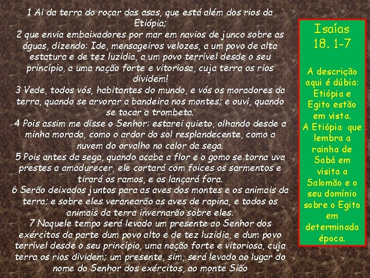 1 Ai da terra do roçar das asas, que está além dos rios da