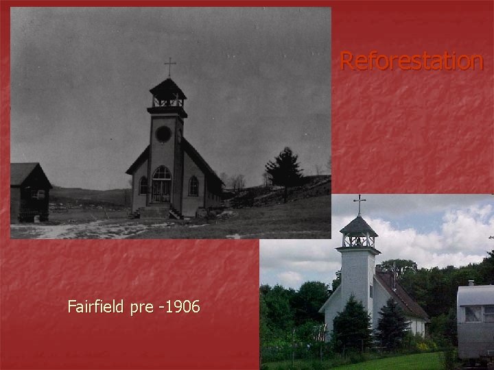 Reforestation Fairfield pre -1906 Reforestation Fairfield pre -1906