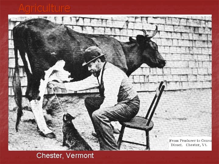 Agriculture Chester, Vermont Agriculture Chester, Vermont