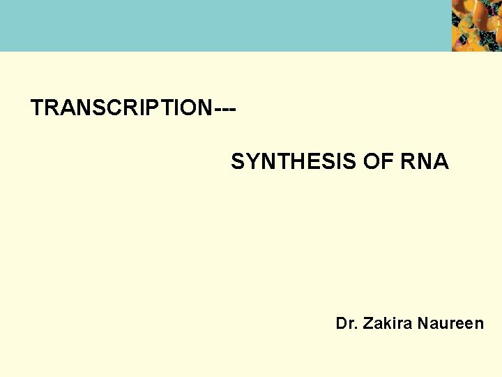 TRANSCRIPTION--SYNTHESIS OF RNA Dr. Zakira Naureen 