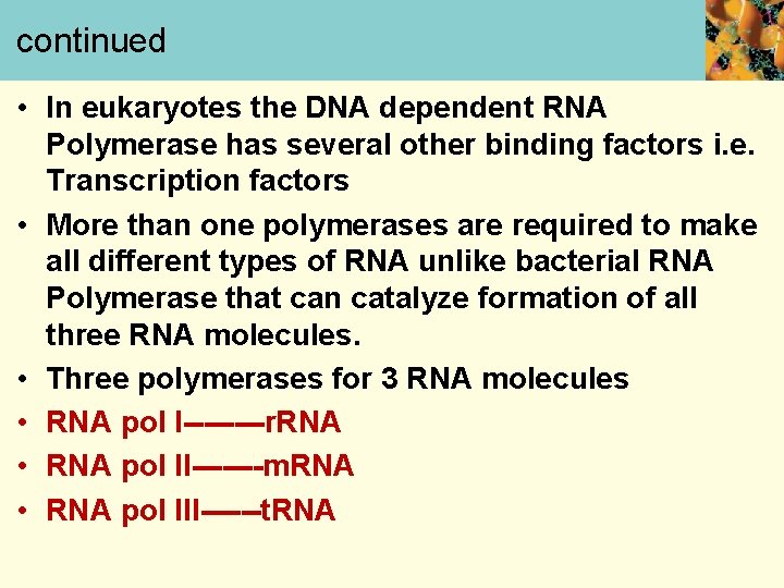 continued • In eukaryotes the DNA dependent RNA Polymerase has several other binding factors