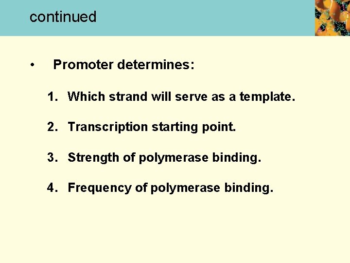 continued • Promoter determines: 1. Which strand will serve as a template. 2. Transcription