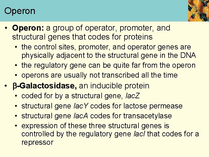 Operon • Operon: a group of operator, promoter, and structural genes that codes for