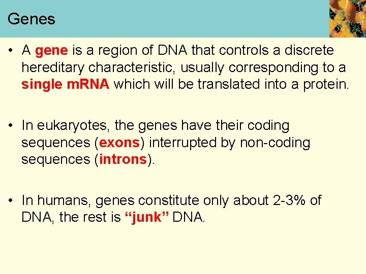 Genes • A gene is a region of DNA that controls a discrete hereditary