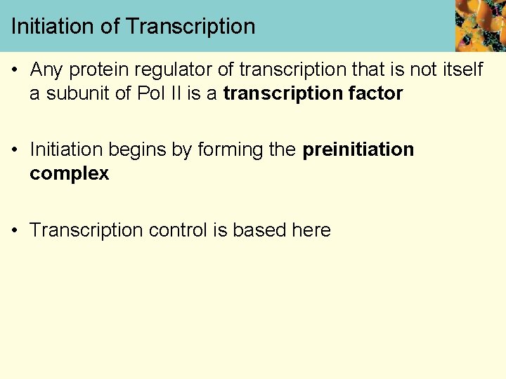 Initiation of Transcription • Any protein regulator of transcription that is not itself a