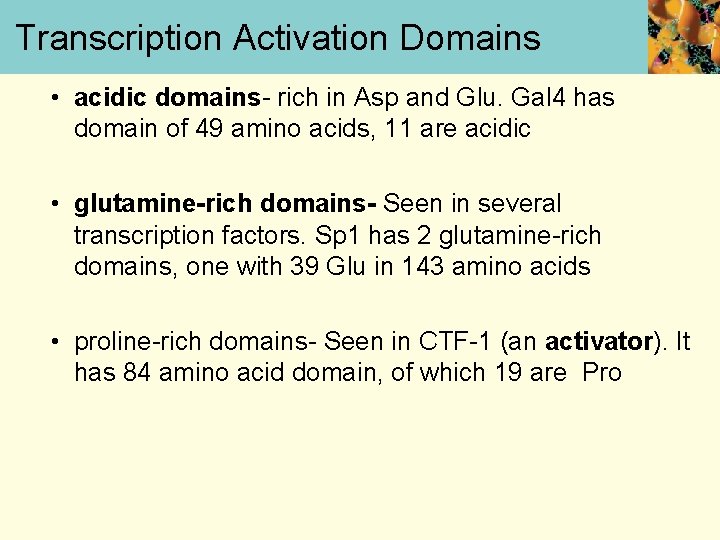 Transcription Activation Domains • acidic domains- rich in Asp and Glu. Gal 4 has