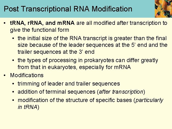 Post Transcriptional RNA Modification • t. RNA, r. RNA, and m. RNA are all