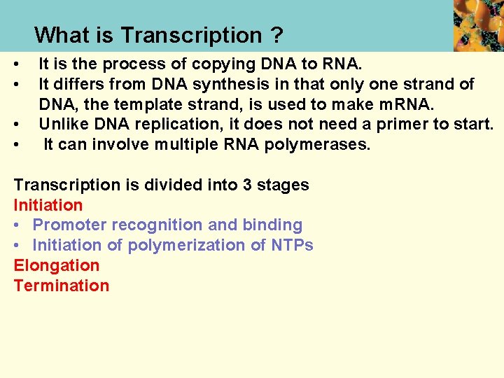 What is Transcription ? • • It is the process of copying DNA to