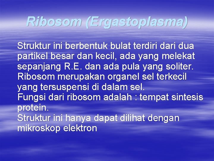 Ribosom (Ergastoplasma) Struktur ini berbentuk bulat terdiri dari dua partikel besar dan kecil, ada