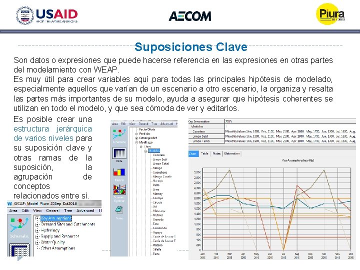 Suposiciones Clave Son datos o expresiones que puede hacerse referencia en las expresiones en Suposiciones Clave Son datos o expresiones que puede hacerse referencia en las expresiones en