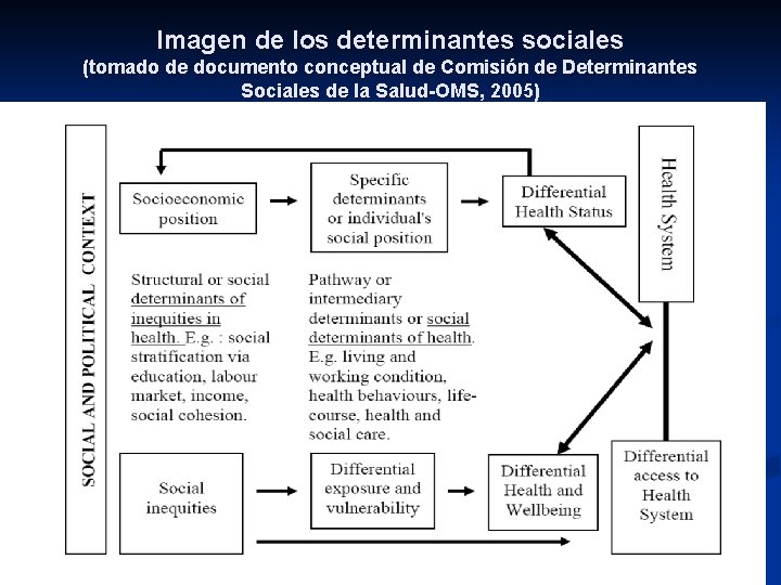 Imagen de los determinantes sociales (tomado de documento conceptual de Comisión de Determinantes Sociales