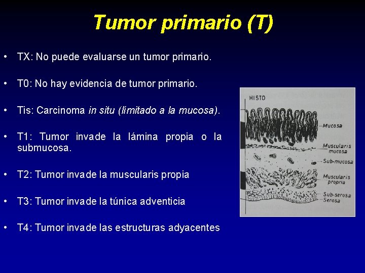 Tumor primario (T) • TX: No puede evaluarse un tumor primario. • T 0: Tumor primario (T) • TX: No puede evaluarse un tumor primario. • T 0: