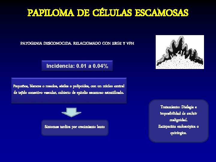 PAPILOMA DE CÉLULAS ESCAMOSAS PATOGENIA DESCONOCIDA. RELACIOMADO CON ERGE Y VPH Incidencia: 0. 01 PAPILOMA DE CÉLULAS ESCAMOSAS PATOGENIA DESCONOCIDA. RELACIOMADO CON ERGE Y VPH Incidencia: 0. 01