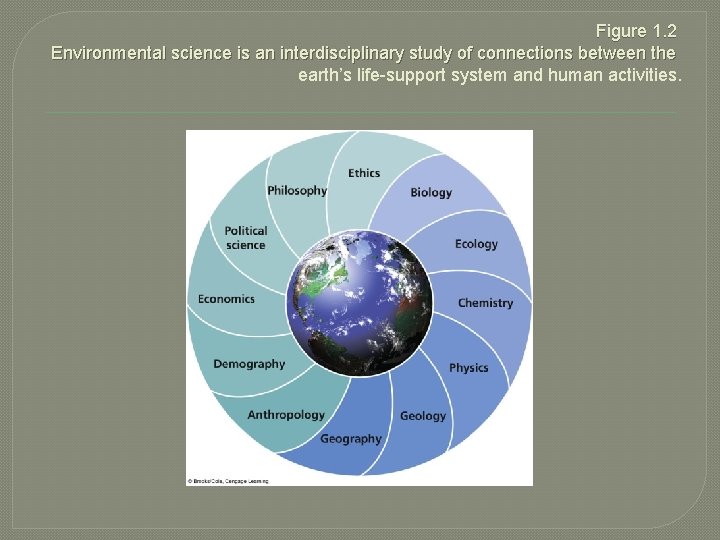 Chapter 1 Environmental Problems Their Causes and Sustainability