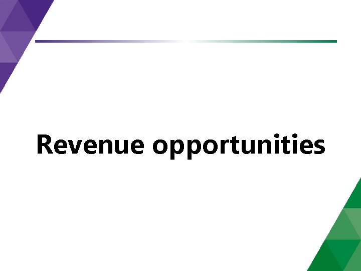 Revenue opportunities 