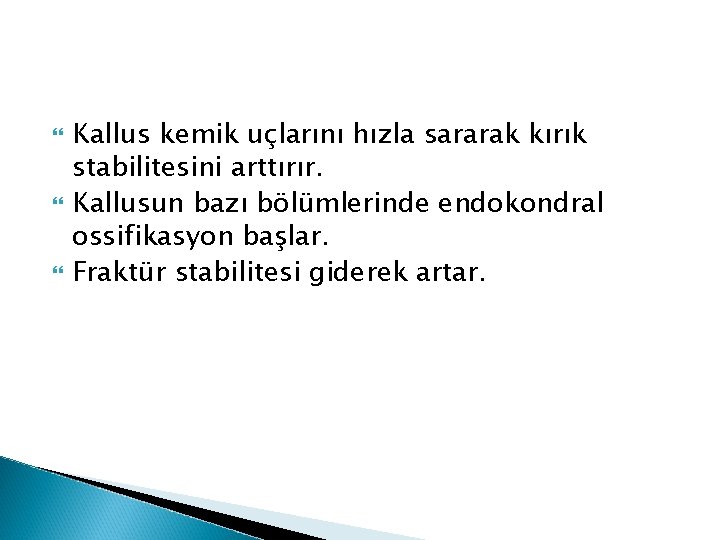  Kallus kemik uçlarını hızla sararak kırık stabilitesini arttırır. Kallusun bazı bölümlerinde endokondral ossifikasyon