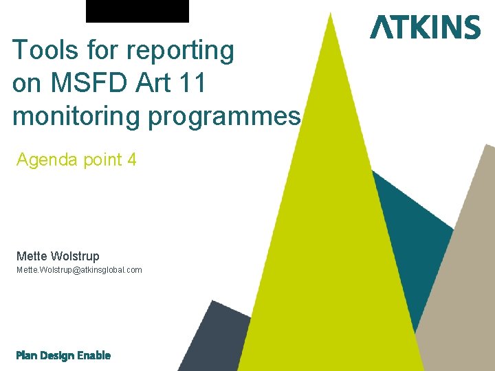 Tools for reporting on MSFD Art 11 monitoring programmes Agenda point 4 Mette Wolstrup