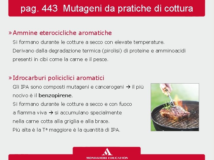 pag. 443 Mutageni da pratiche di cottura » Ammine eterocicliche aromatiche Si formano durante