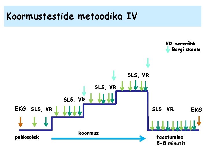 Koormustestide metoodika IV VR-vererõhk Borgi skaala SLS, VR EKG SLS, VR puhkeolek SLS, VR