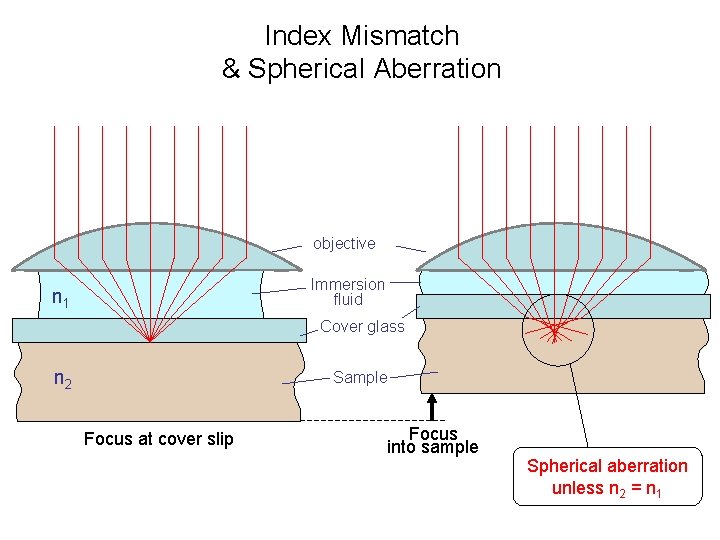 Index Mismatch & Spherical Aberration objective Immersion fluid n 1 Cover glass n 2