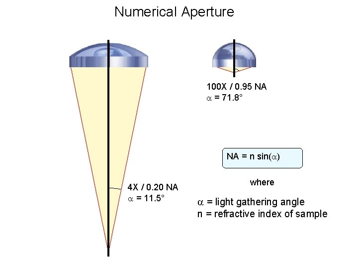 Numerical Aperture 100 X / 0. 95 NA = 71. 8° NA = n