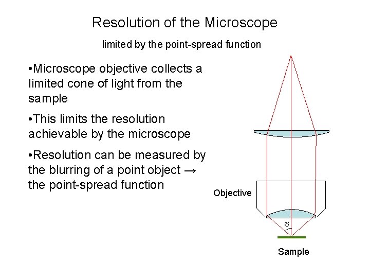 Resolution of the Microscope limited by the point-spread function • Microscope objective collects a