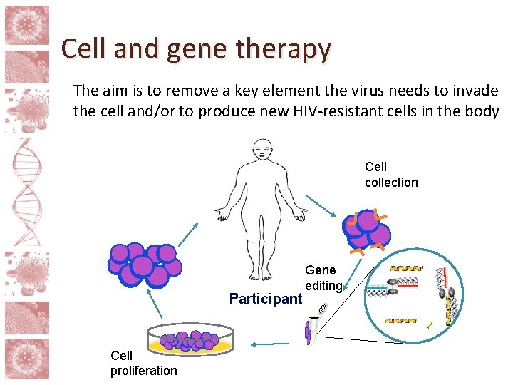 Cell and gene therapy The aim is to remove a key element the virus