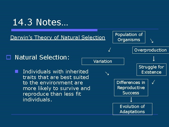 14. 3 Notes… Population of Organisms Darwin’s Theory of Natural Selection ↓ n Individuals