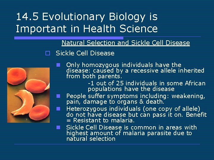 14. 5 Evolutionary Biology is Important in Health Science Natural Selection and Sickle Cell