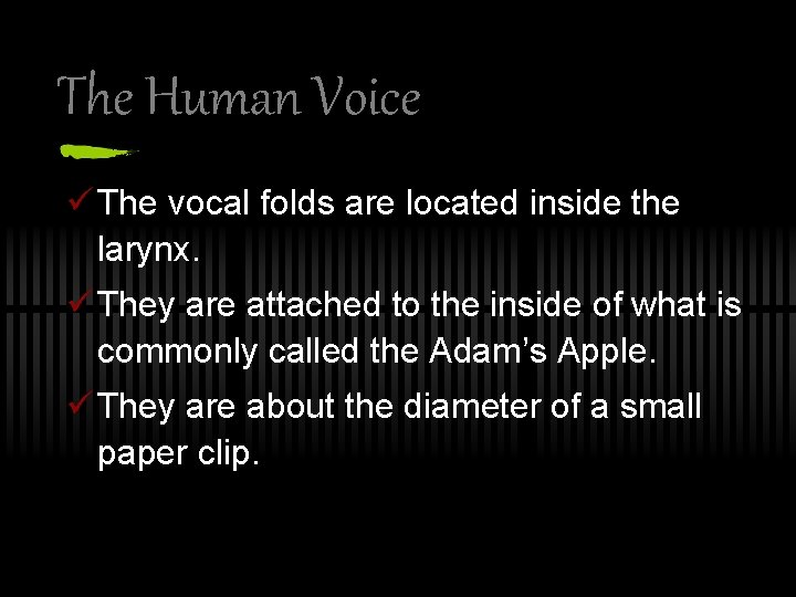 The Human Voice ü The vocal folds are located inside the larynx. ü They