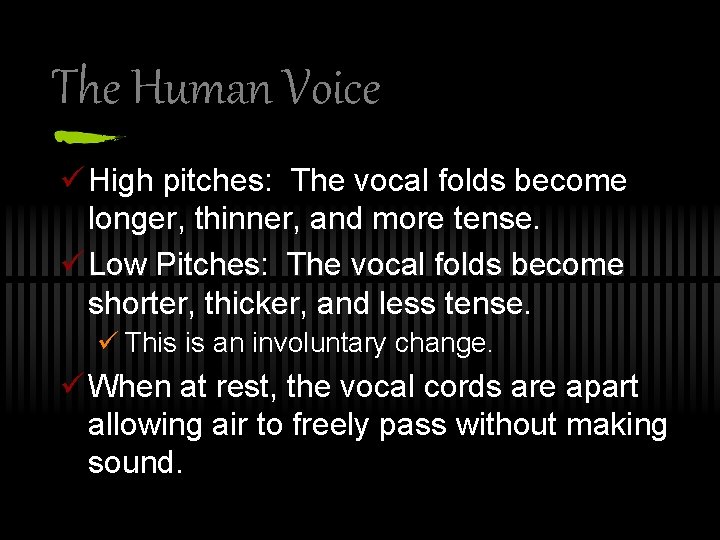 The Human Voice ü High pitches: The vocal folds become longer, thinner, and more