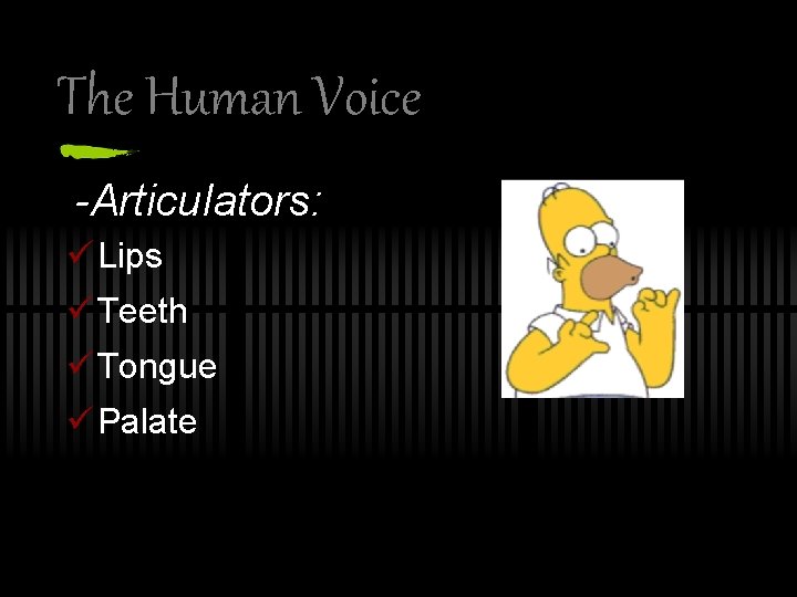 The Human Voice -Articulators: ü Lips ü Teeth ü Tongue ü Palate 