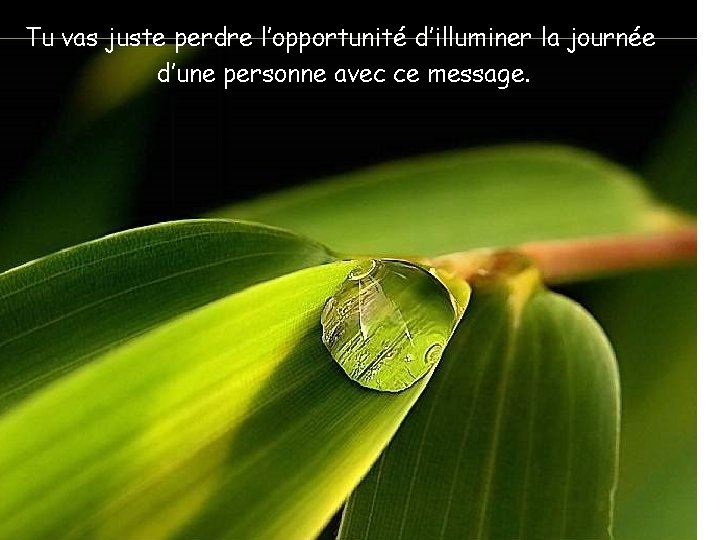 Tu vas juste perdre l’opportunité d’illuminer la journée d’une personne avec ce message. 