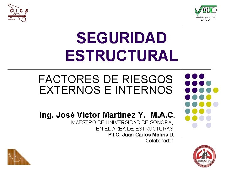 SEGURIDAD ESTRUCTURAL FACTORES DE RIESGOS EXTERNOS E INTERNOS Ing. José Víctor Martínez Y. M.