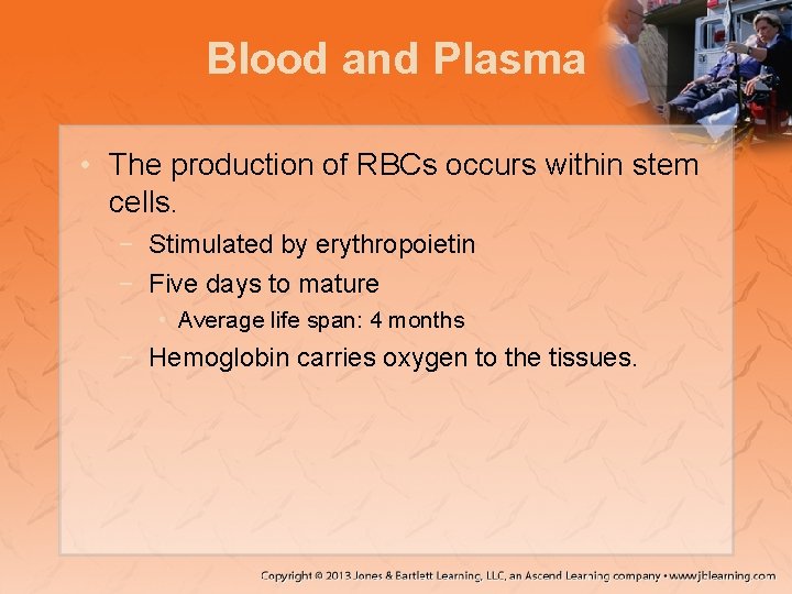 Blood and Plasma • The production of RBCs occurs within stem cells. − Stimulated