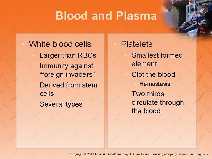 Blood and Plasma • White blood cells − Larger than RBCs − Immunity against