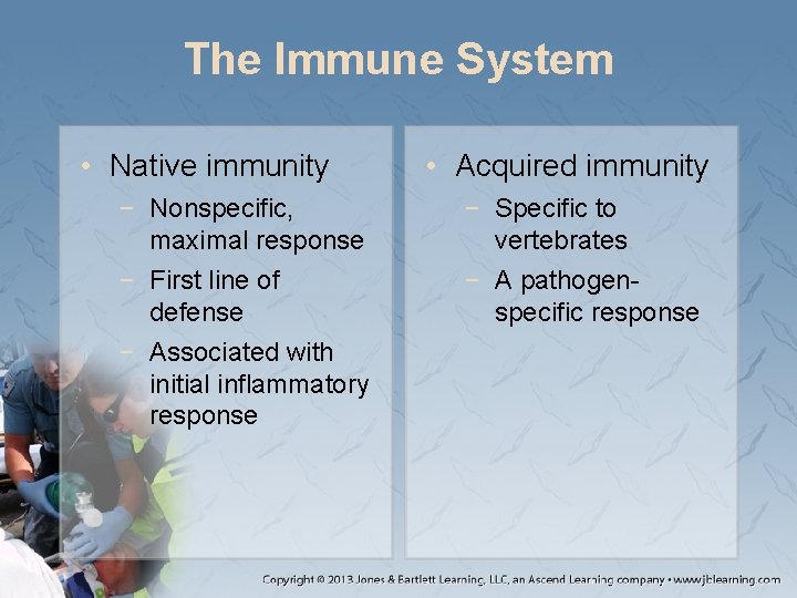 The Immune System • Native immunity − Nonspecific, maximal response − First line of