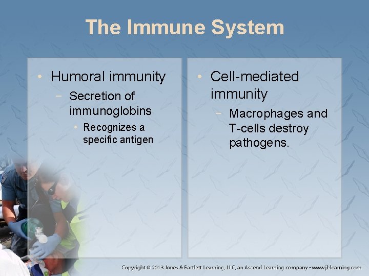 The Immune System • Humoral immunity − Secretion of immunoglobins • Recognizes a specific