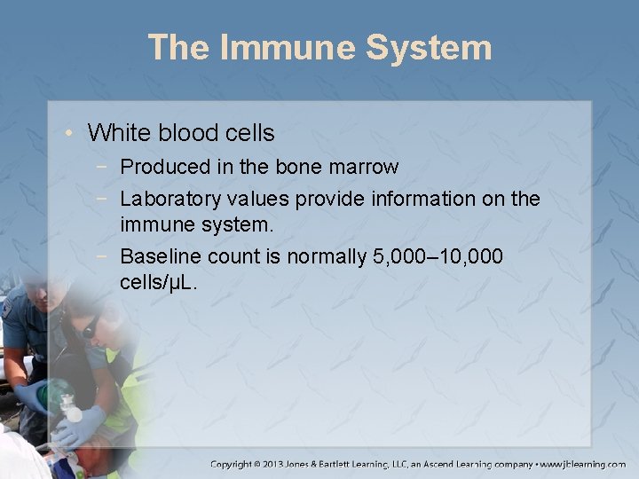 The Immune System • White blood cells − Produced in the bone marrow −