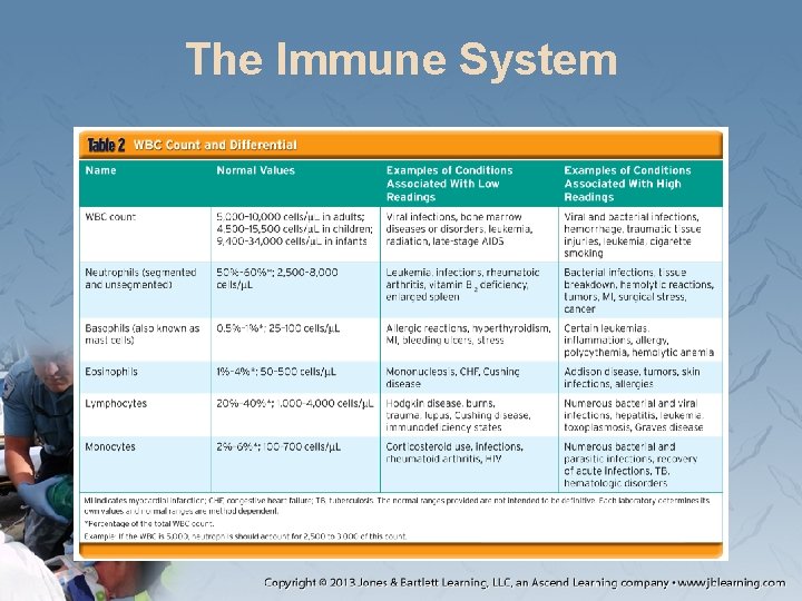 The Immune System 