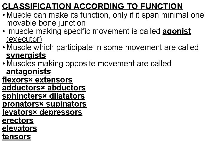 CLASSIFICATION ACCORDING TO FUNCTION • Muscle can make its function, only if it span
